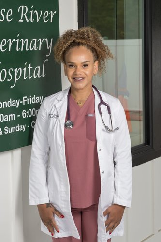 Dr. Karina Ballester